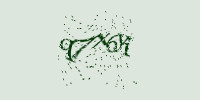Защитный код